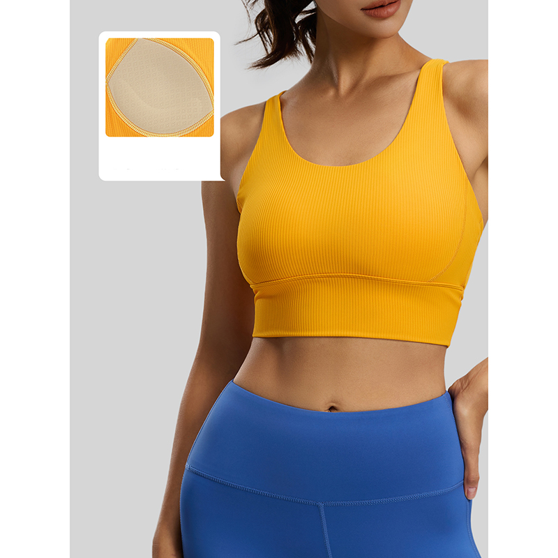2026 New Women Ribbed High Imp - Sports Bra High Impact 评论和价格