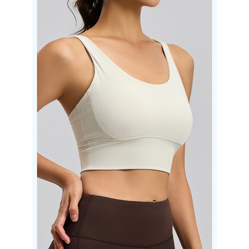 2026 New Women Ribbed High Imp - Sports Bra High Impact 评论和价格